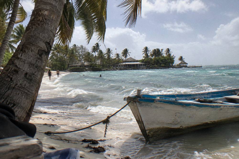 A wooden day boat moored at a tropical pier with palm trees along the shore