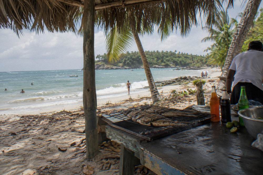 Shaded beach stall with fresh fish grilling and tropical fruit drinks lined up