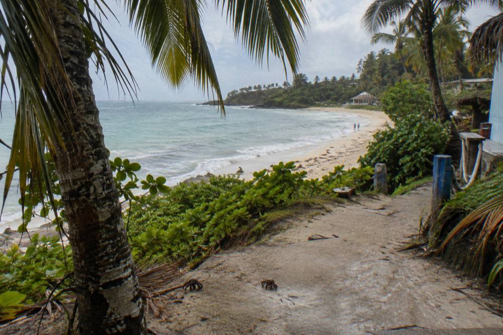 Hillsides of palm forest meeting an empty crescent beach in morning light