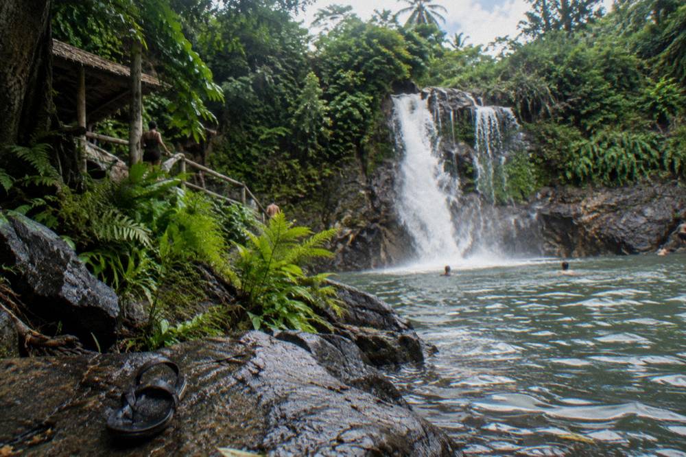 Waterfall plunging into a natural pool surrounded by tropical forest
