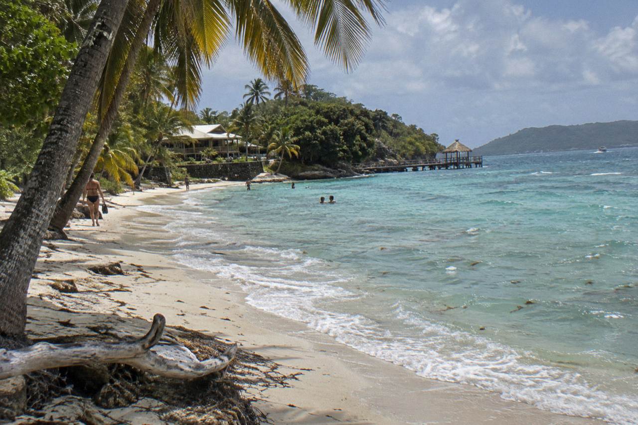 Turquoise water and palm trees along a small island beach in Samana Bay