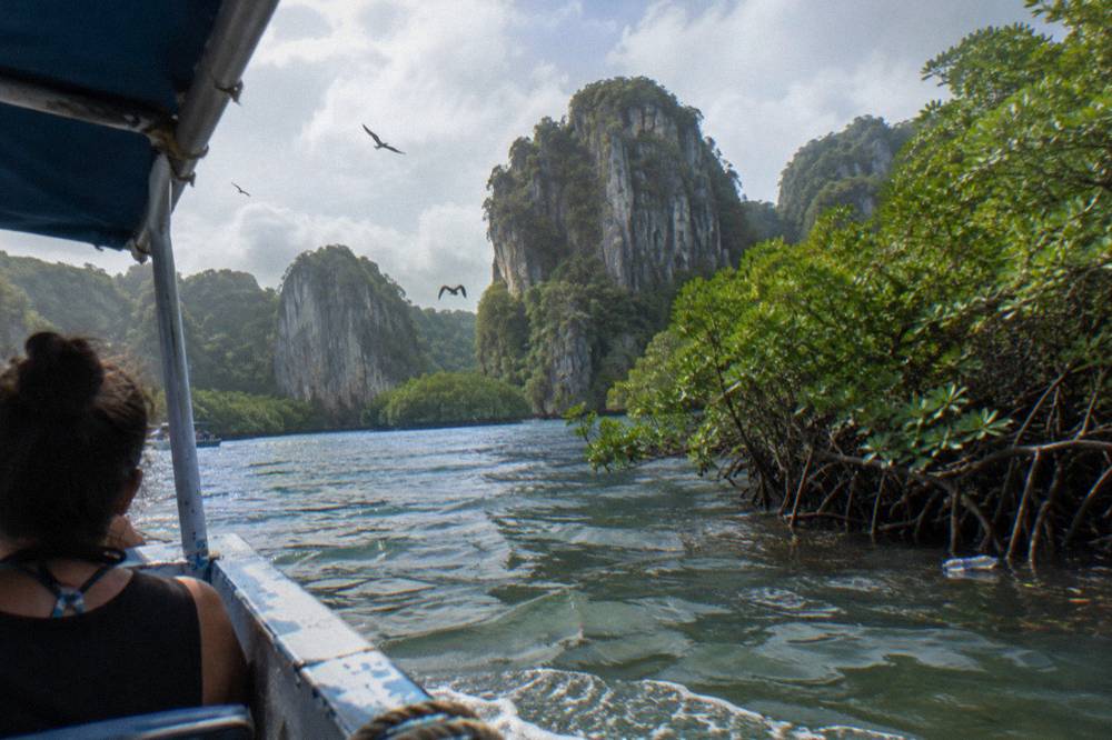 Mangrove channels and tall limestone cliffs inside Los Haitises National Park