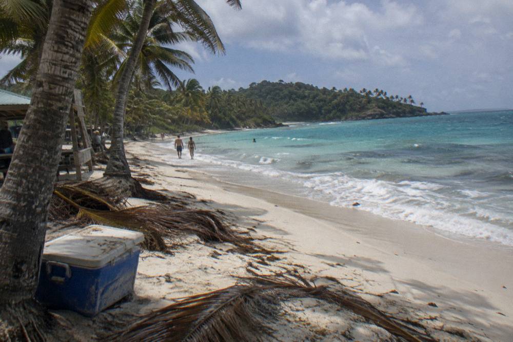 A long palm-fringed beach with white sand and calm turquoise shallows at midday